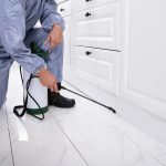 Pest-Free Living Strategies for a Healthy Home