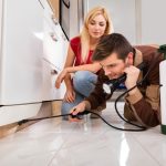 Pest Control Services: Ensuring a Healthy and Pest-Free Living Environment for Your Family