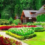 Nature's Canvas: Inspiring Landscaping Design Ideas