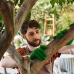 Garden Hose Accessories: Enhancing Your Outdoor Setup